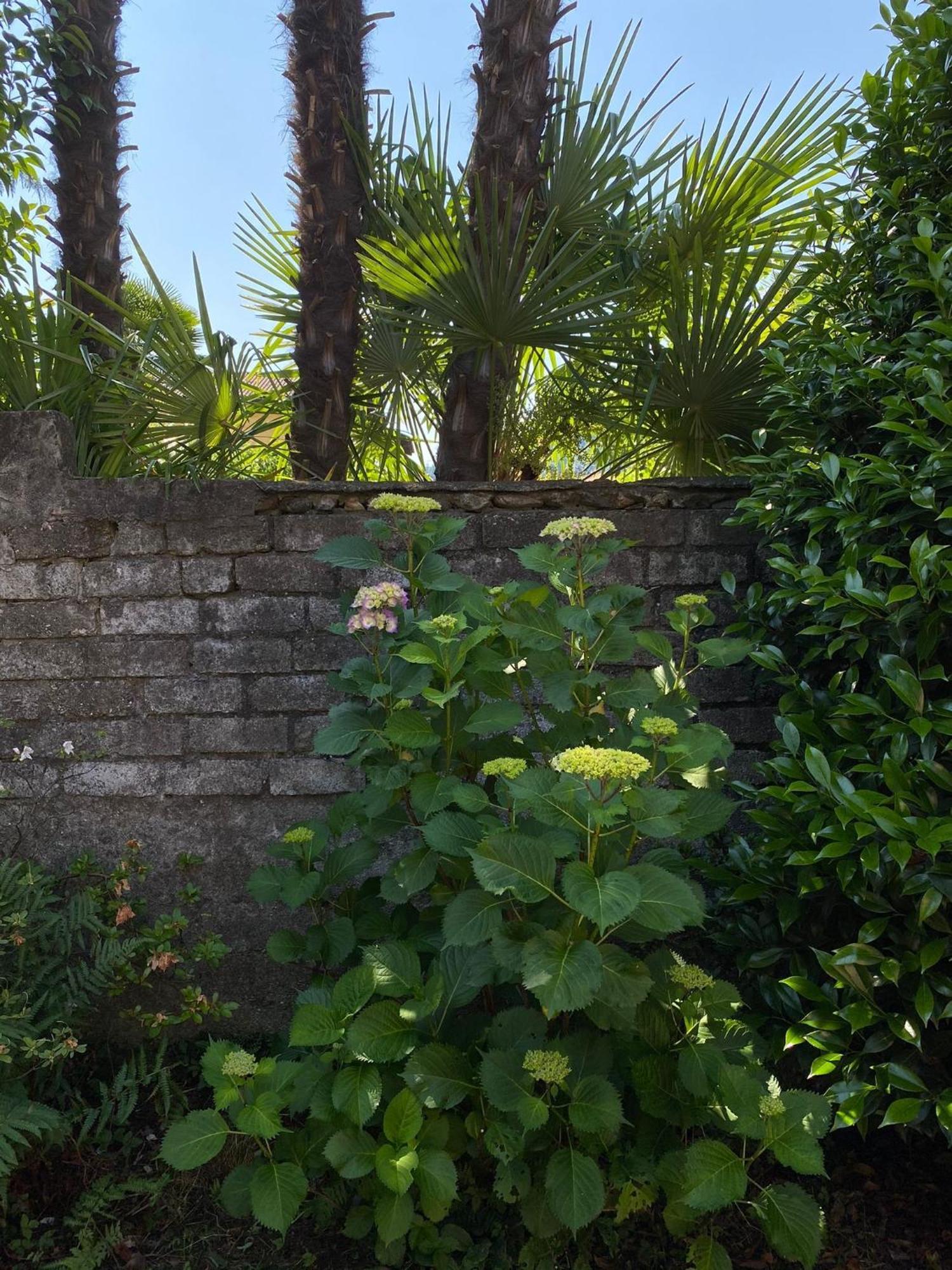 Casa Tranquilla Villa Cannobio Exterior foto